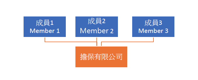 擔保有限公司架構圖